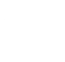 dmg_57.png